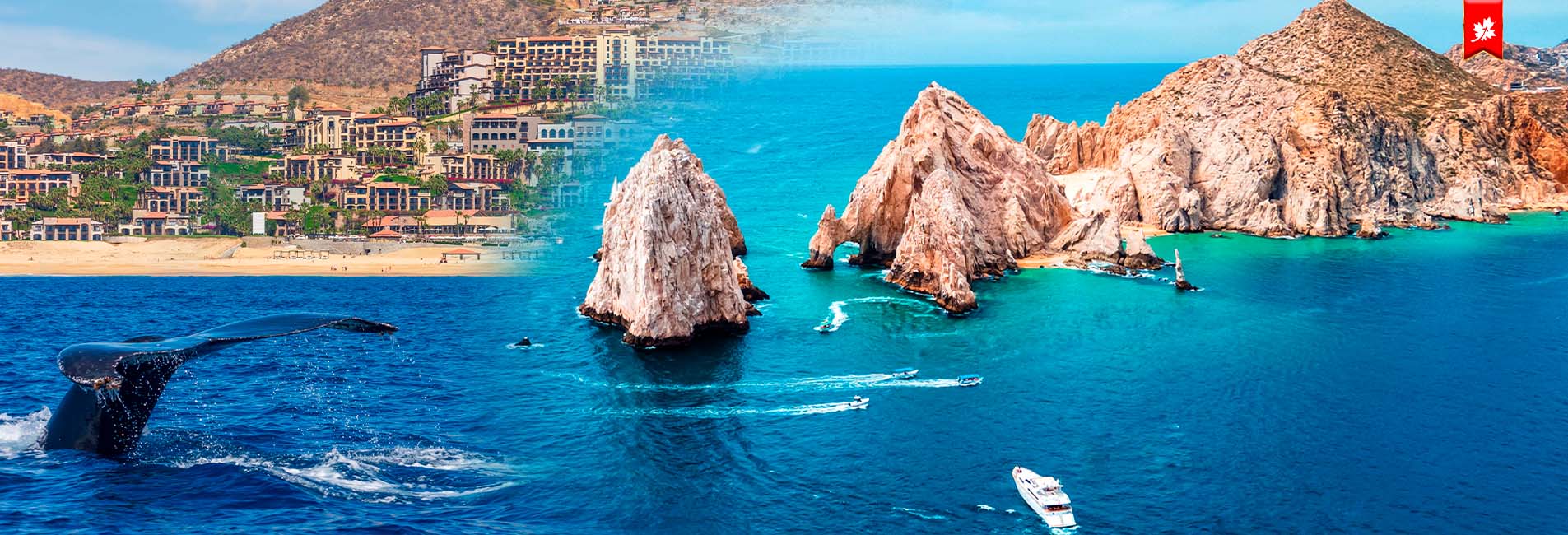 Private transfer from Los Cabos Airport to Cabo San Lucas