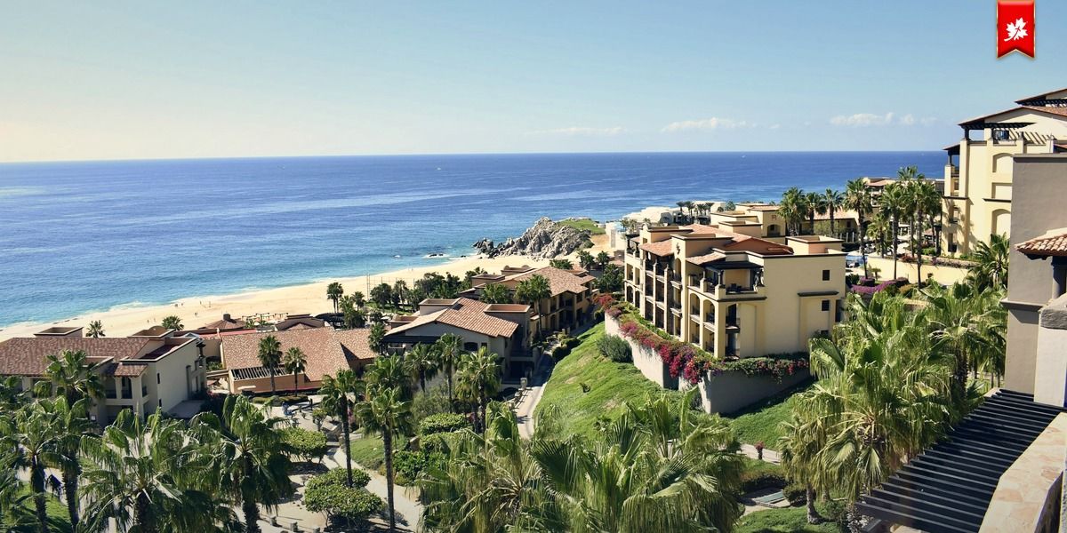 Seaside resort among palm trees with ocean views – airport transfer to Dreams